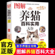 图解养猫百科实用大全新手养猫选猫攻略宝典养猫基础工具书宠物猫科学喂养书猫咪常见疾病预防书爱猫养护实用手册猫咪护理书籍正版