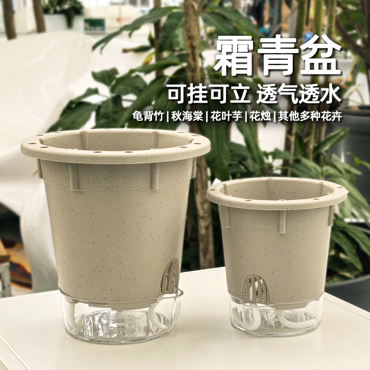 霜青盆套盆 阳台垂吊懒人花盆 可挂可立可视化水位一盆多用透气 - 实物图