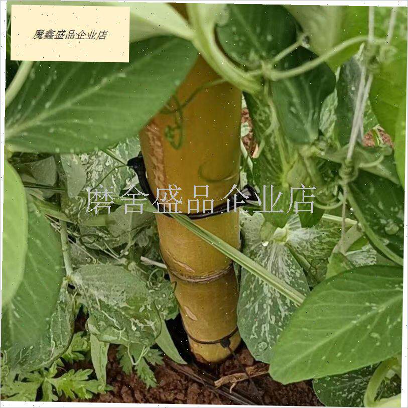 荷兰豆荚豆豌豆挂钩葡萄挂钩绑z枝卡扣子农用爬藤网线绑蔓卡扣农.