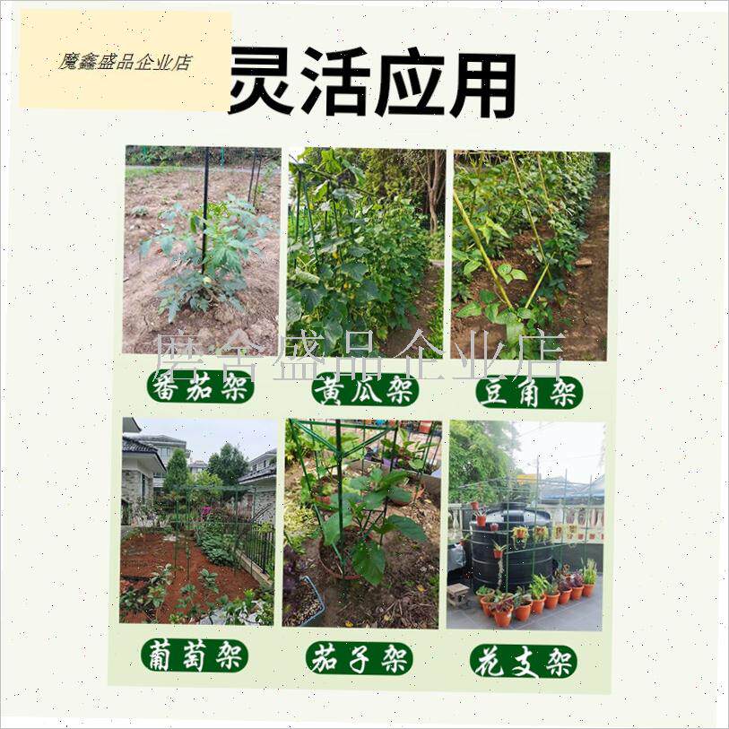 园艺支柱包e塑钢管支花架黄瓜豆角葡萄种菜植物爬藤架支撑杆绿植.