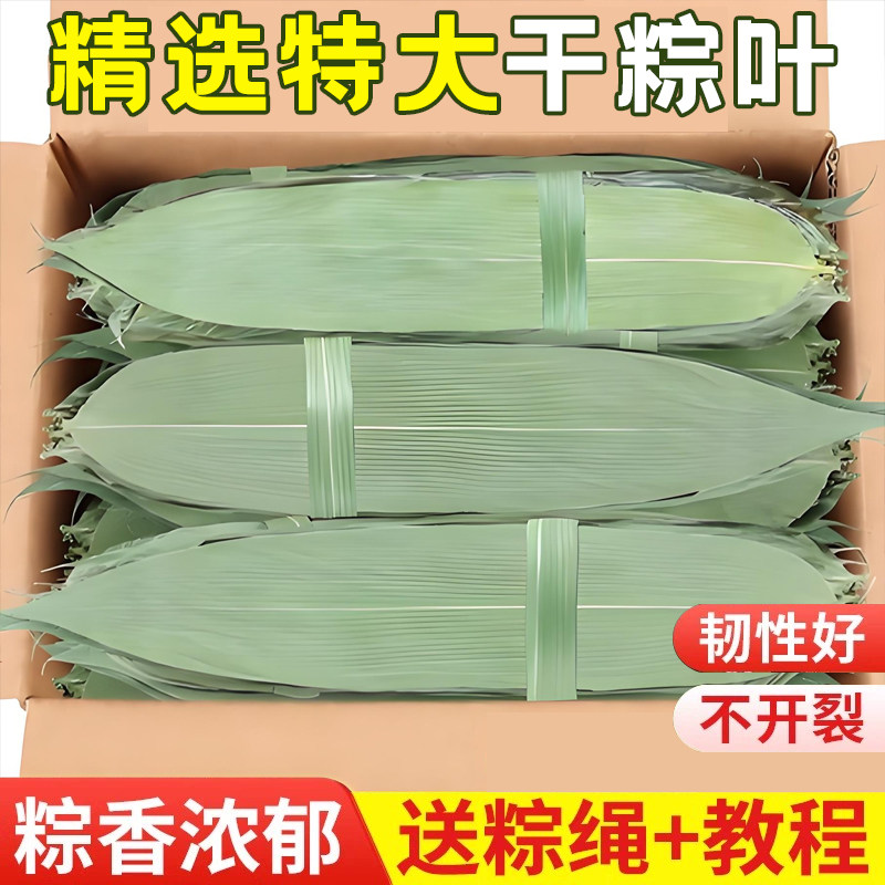 现货粽子叶粽叶干大号棕叶新鲜包粽子竹叶子干粽叶商用箬叶材料旗