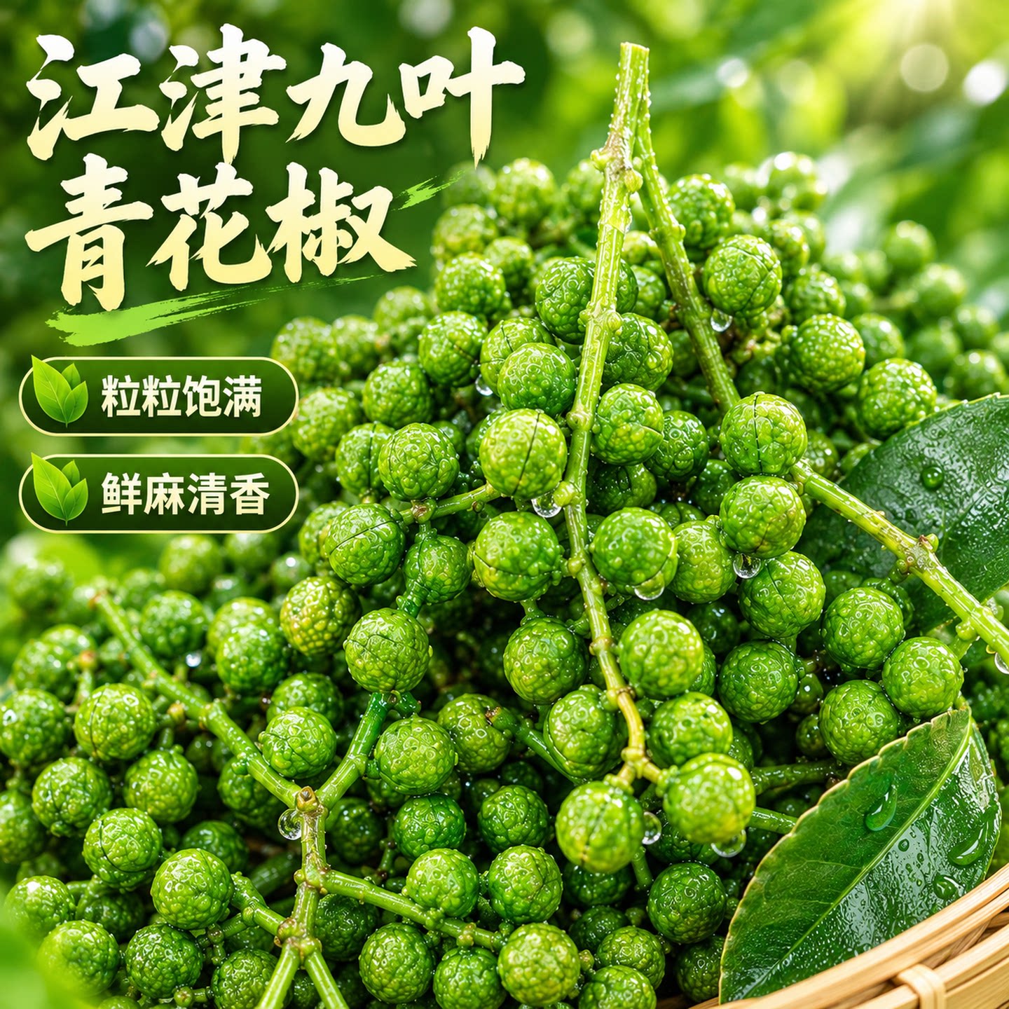 江津九叶青藤椒鲜麻清香南北可种