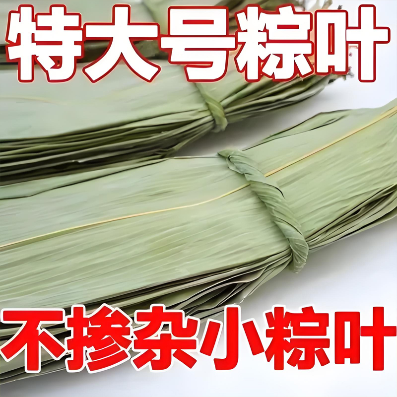 速发粽子叶粽叶干大号棕叶包新鲜粽子竹叶子干粽叶商用箬叶材料旗