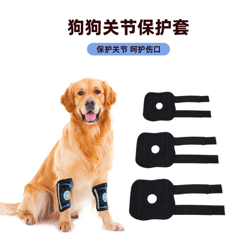 宠物护膝专为老龄犬设计的辅助