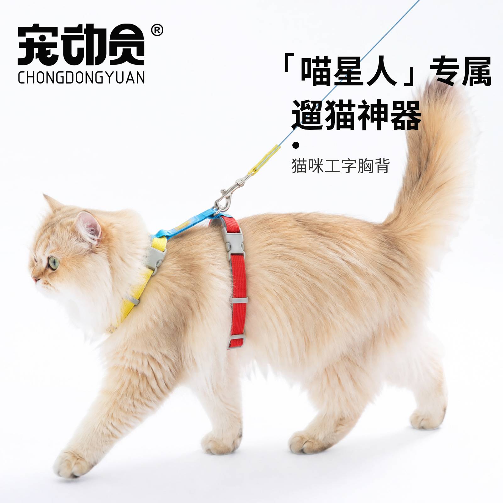 小猫专用工字胸背牵引绳轻便防可图片
