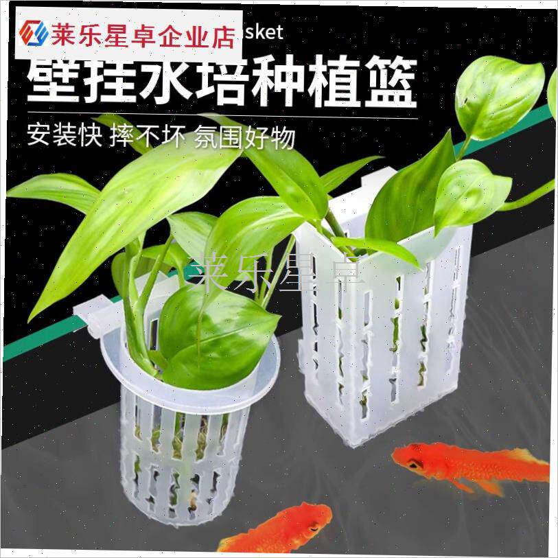 鱼缸水培植物挂式定植篮绿萝铜钱草水生I植物红薯苗Z培育固定架.