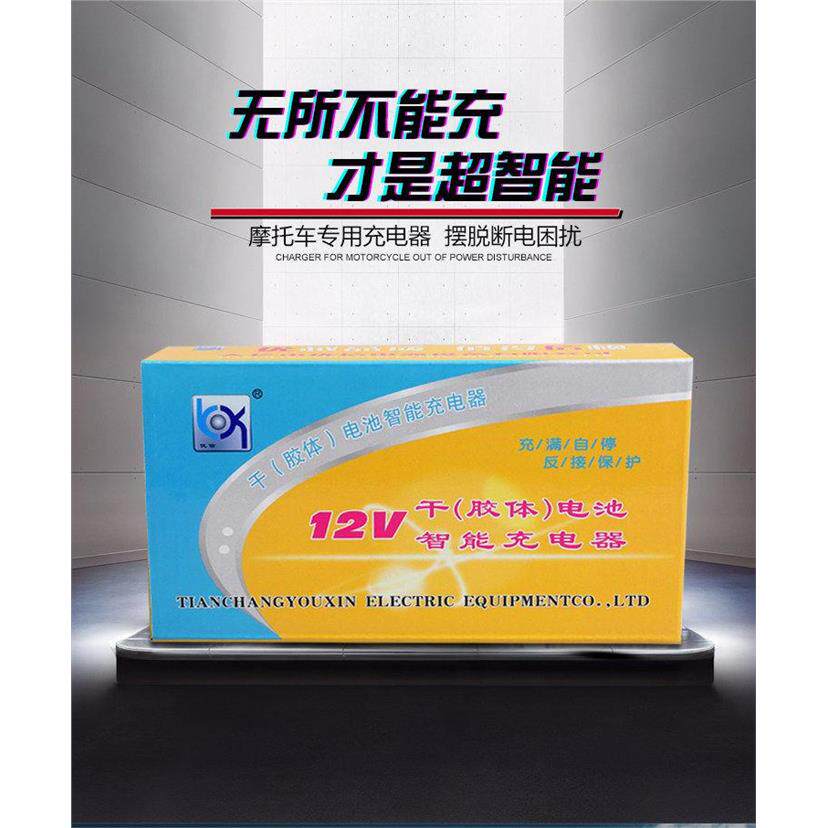 包邮新款智能12V2A机l车