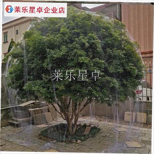 大棚树葡萄防鸟h网天网t嘉宝果树防鸟用网尼龙樱桃网防护网纱网.
