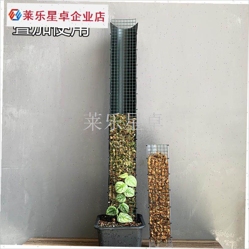 包邮水苔墙水苔柱植物气根攀爬盒可拼接增高爬藤柱W龟背竹蔓绿绒.