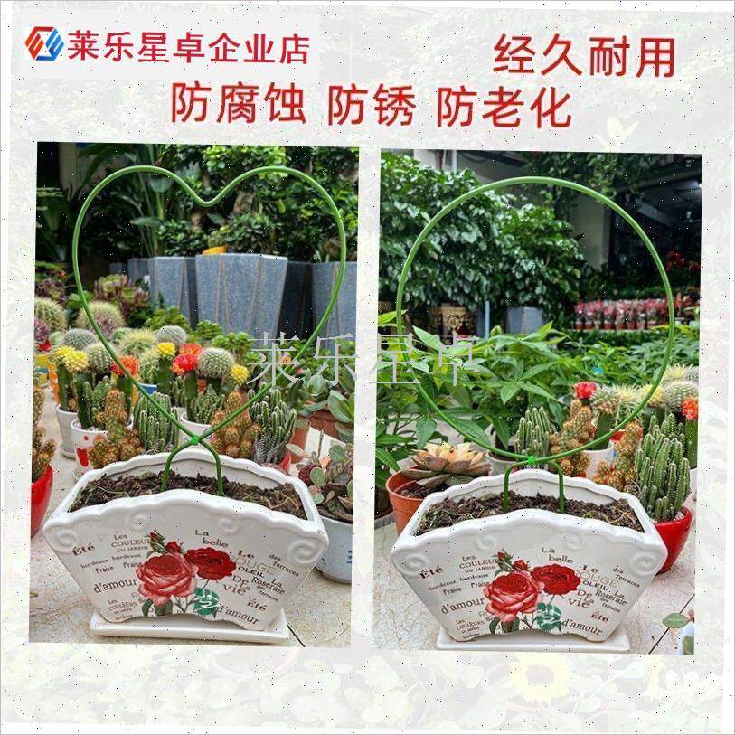 室内铁艺圆形心形雪莹山乌龟甲龙蝴E蝶兰造型Q花架爬藤架子植物.