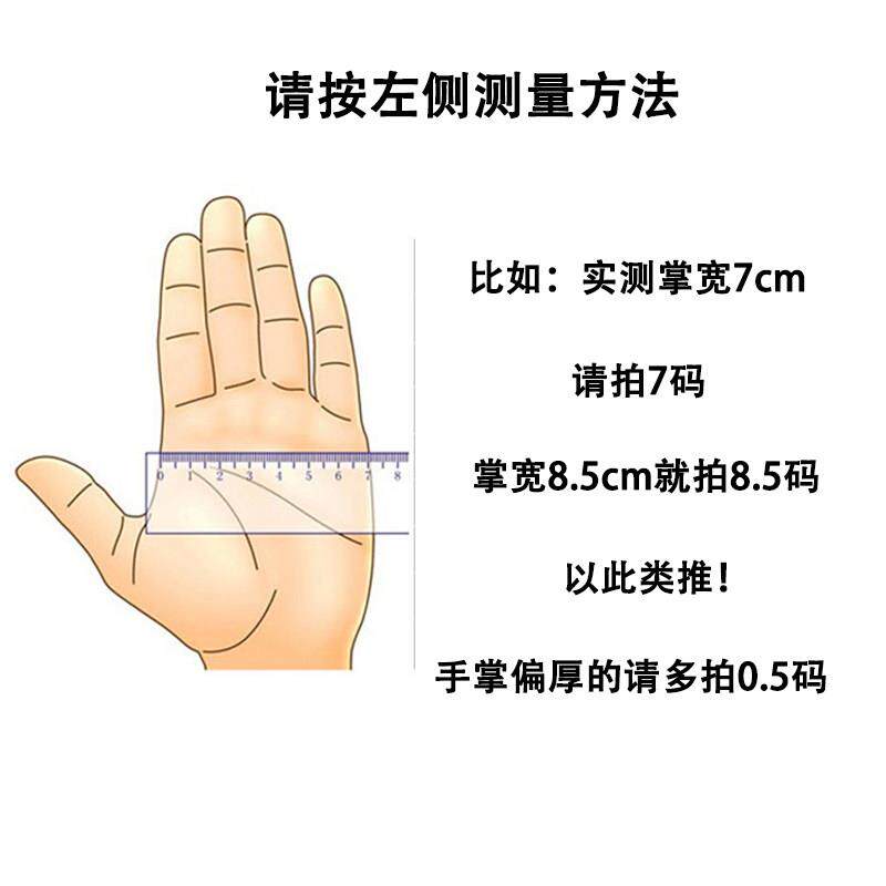 BEYOND欧美高级l三用专业