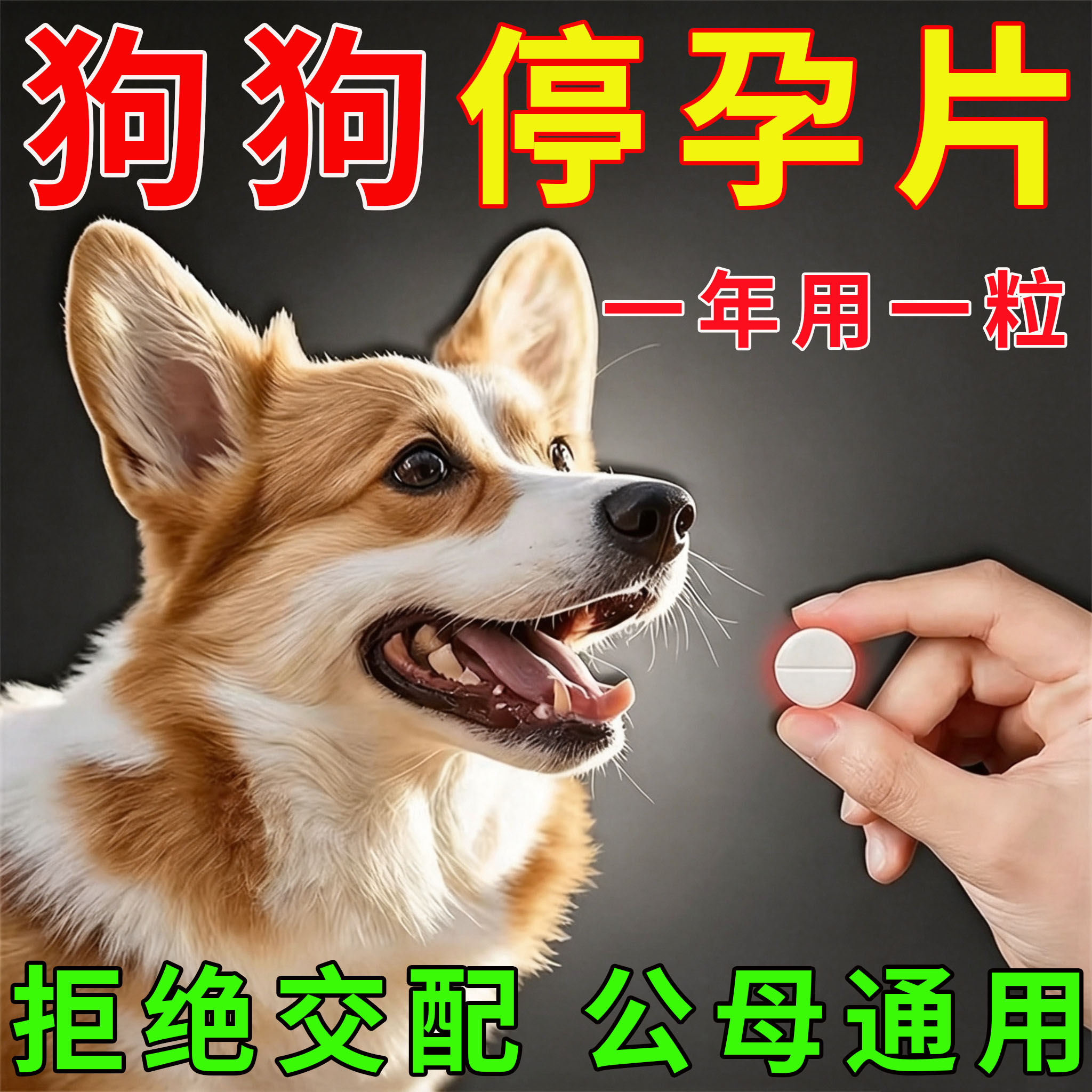 狗狗永久绝育药专用公母通用永久猫特色保健品