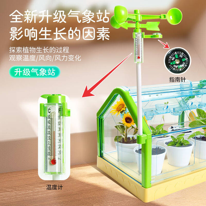 阳光房儿童种植套装种子观察窗小学生幼儿园DIY种菜盆科学实验玩