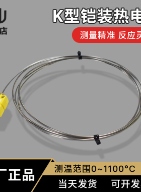WRNK-171 K型铠装热电偶  探针 温度传感器 实验室 插头可弯曲