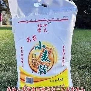 东北高筋小麦粉白面粉5kg家用做包子馒头面条水饺粉没添加 10斤装