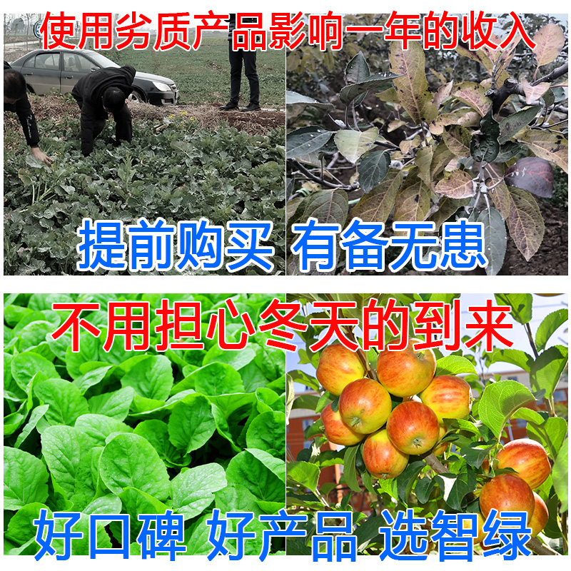 植物防冻剂防冻液果树防寒植物抗寒抗冻剂植物防冻剂果树防冻剂