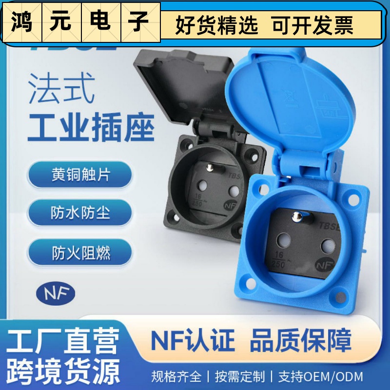 神创/TBSE IP54法式工业防水电源插座三孔16A250V发电机配电箱CE