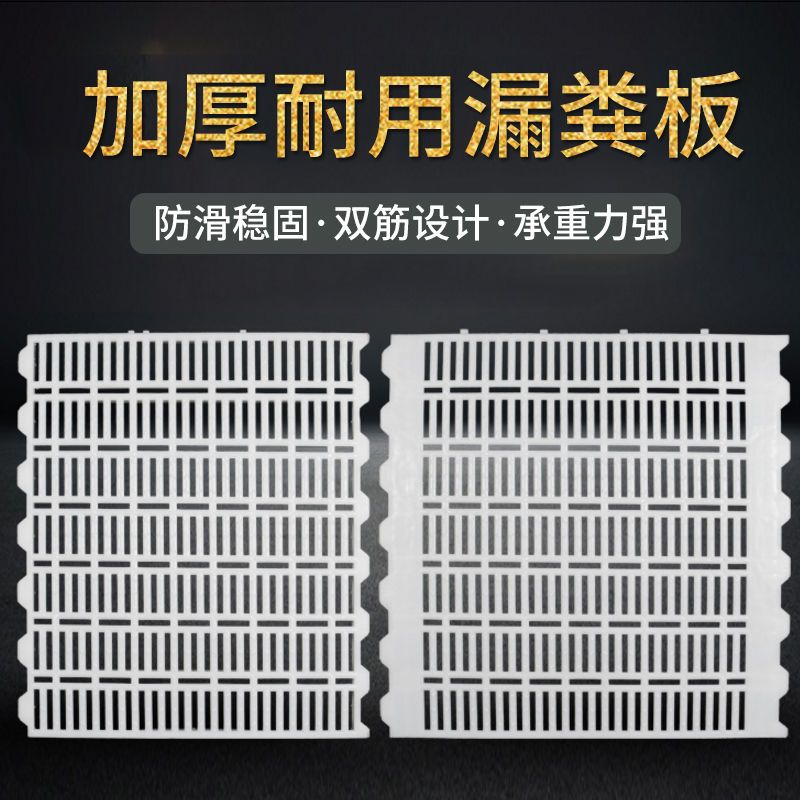 塑料漏粪板猪场小猪养殖