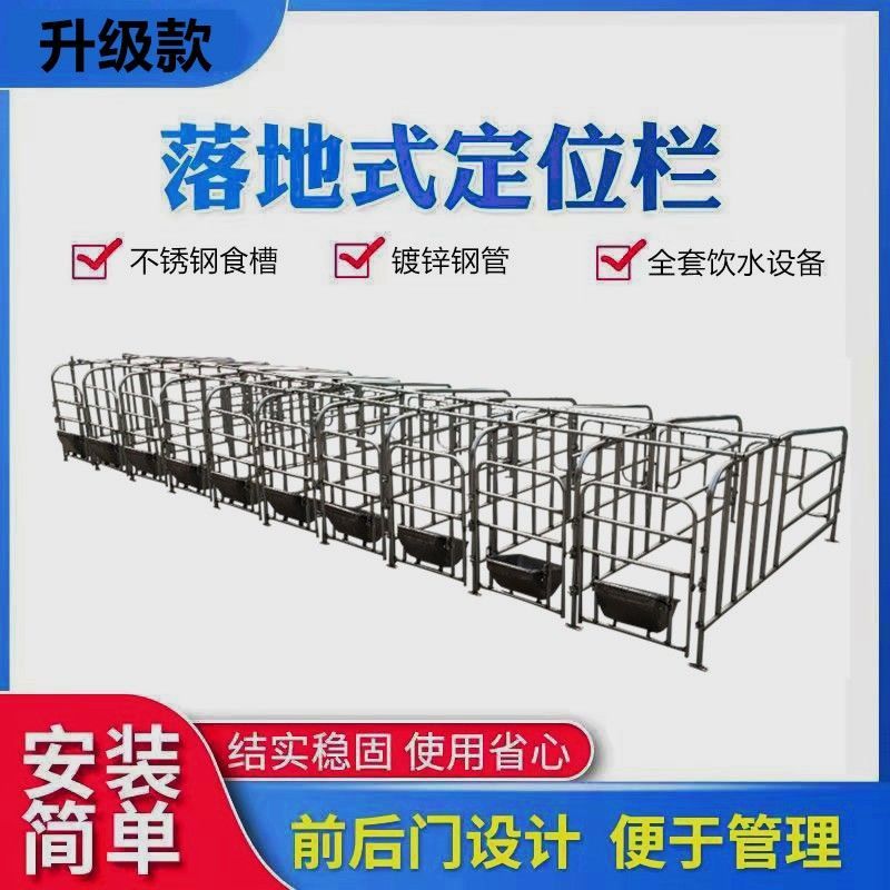母猪定位栏猪用限落地式