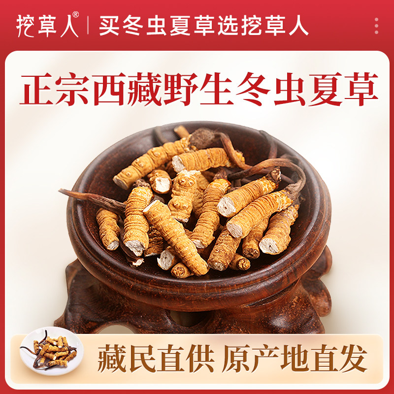 挖草人正宗西藏野生冬虫夏草断草虫草礼盒干货正品官方旗舰店自用