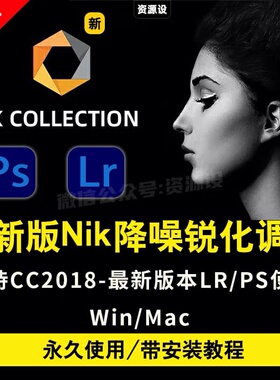 Nik Collection8.3.0lr插件调色降噪锐化滤镜ps插件2025win/mac