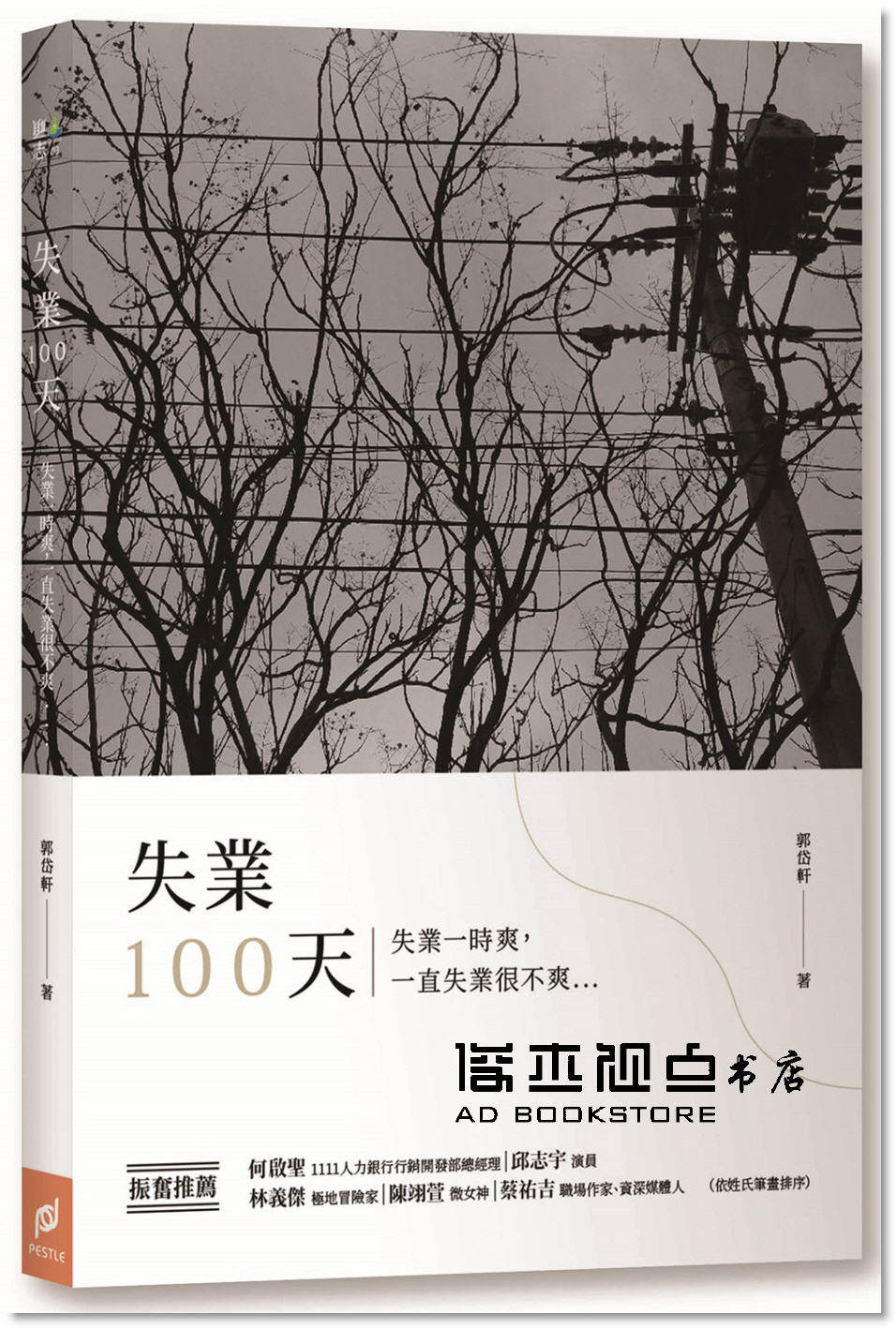 郭岱軒《失業100天:失業一時爽,一直失業很不爽》帕斯頓數