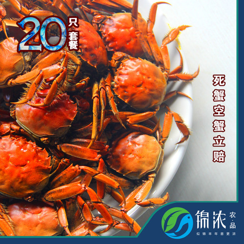 美味的盘锦河蟹礼盒装