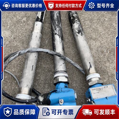 议价E+H FTM31 液位传感器 全3支 看好了联系议可维修