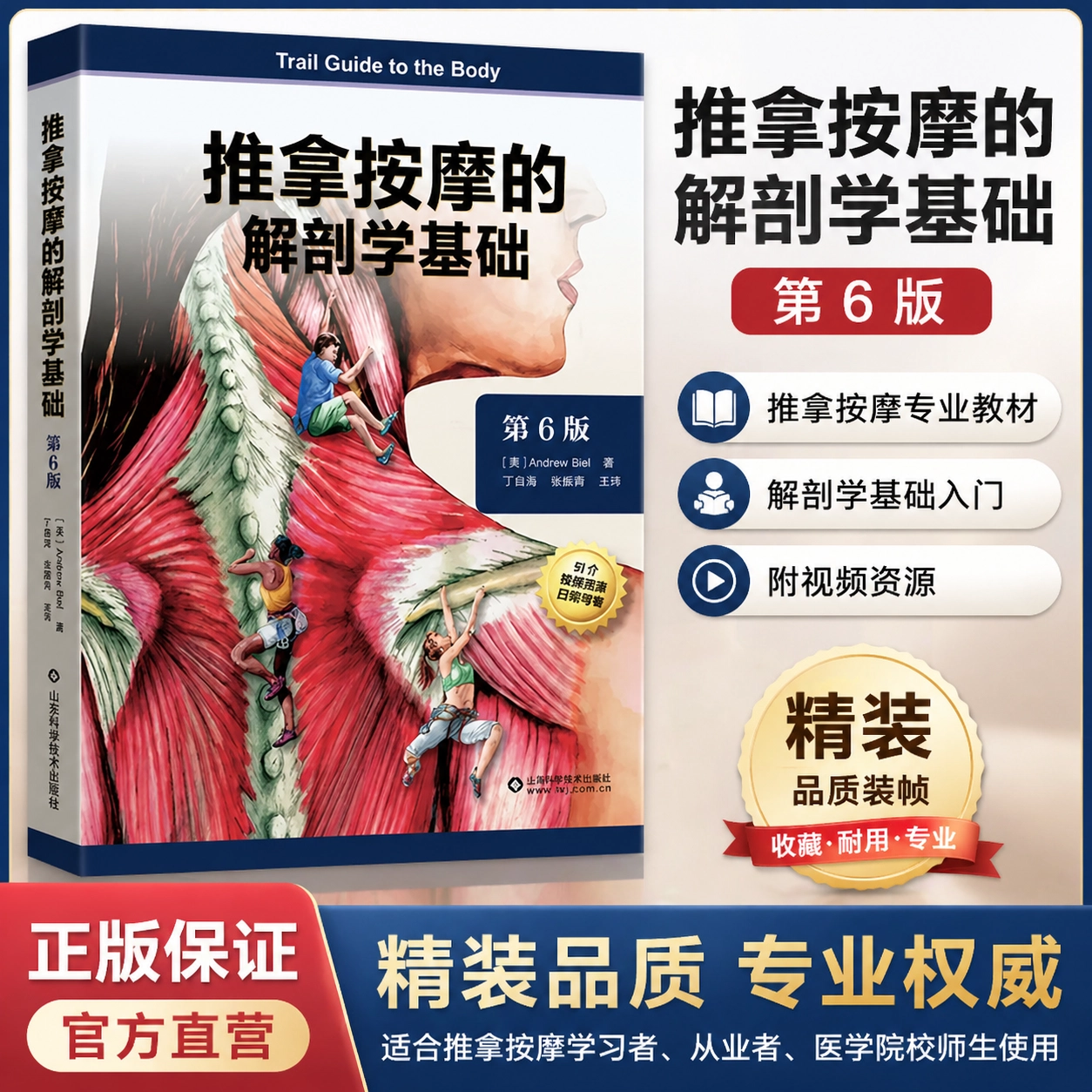 【文峰天下】精装正版 推拿按摩的解剖学基础第6版 铜版纸印刷 解剖结构 按摩治疗 临床触诊 肌肉组织骨骼韧带康复医用参考书 - 实物图