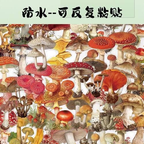 创意复古蘑菇pet透明贴纸