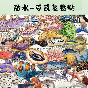 50张日语生物pet透明贴纸防水不留胶手帐水池鱼缸创意装饰小贴画