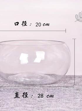水培玻璃花瓶透明碗莲荷花铜钱草盆缸养睡莲盆缸碗莲盆铁树专用盆