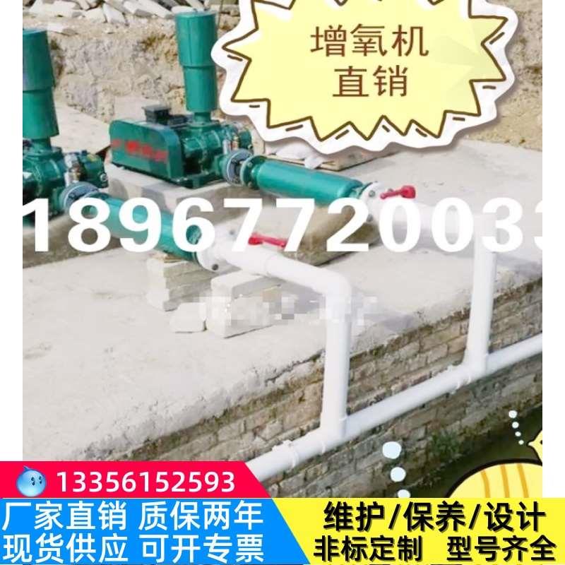 三叶罗茨风机鱼塘增氧机罗茨鼓风机污水处理曝气大功率真空泵大型