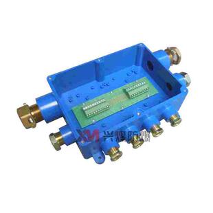 HH-8（A）矿用本安型电路用接线盒八通10对 本安电路用防爆分线盒