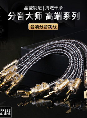 杨阳单晶铜纯银混编音响跳线发烧级双线分音桥接线音箱喇叭连接线
