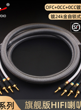 杨阳YYAUDIO HiFi音响喇叭线发烧级单晶铜镀银功放音箱连接环绕线