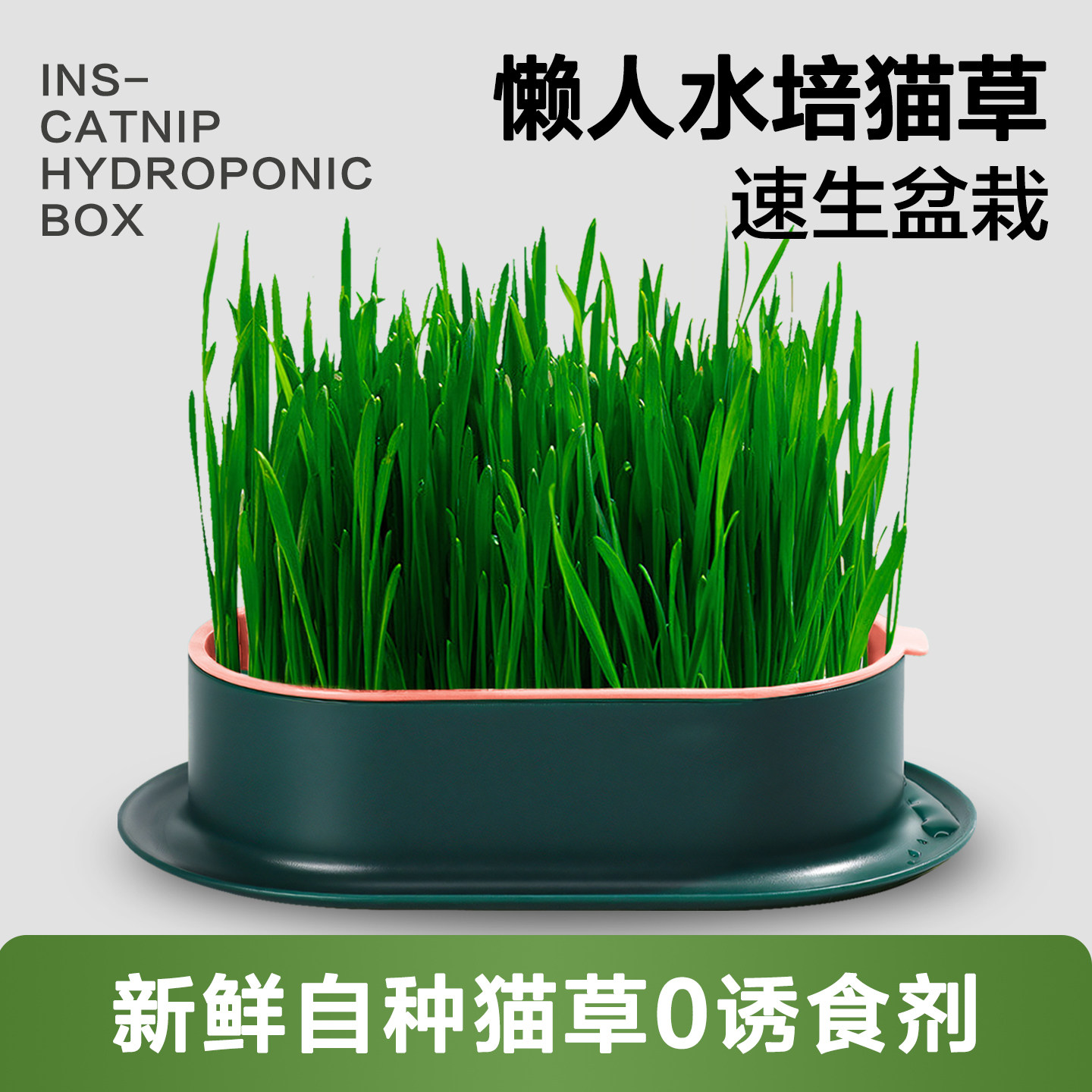 无土水培猫草盆栽种植盒懒人猫草种子育苗盘小麦化毛催吐助消化,宠物/宠物食品及用品,猫草/猫草片,淘宝优惠券,粉丝福利购,淘宝优惠卷