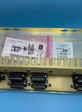 Kongsberg 康士伯 RAo-8 模块，型号81001