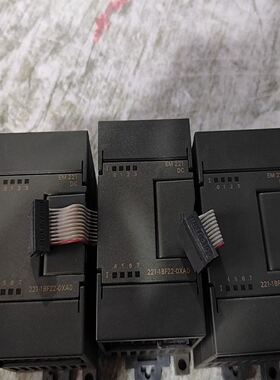 6ES7221-1BF22-0XA0模块