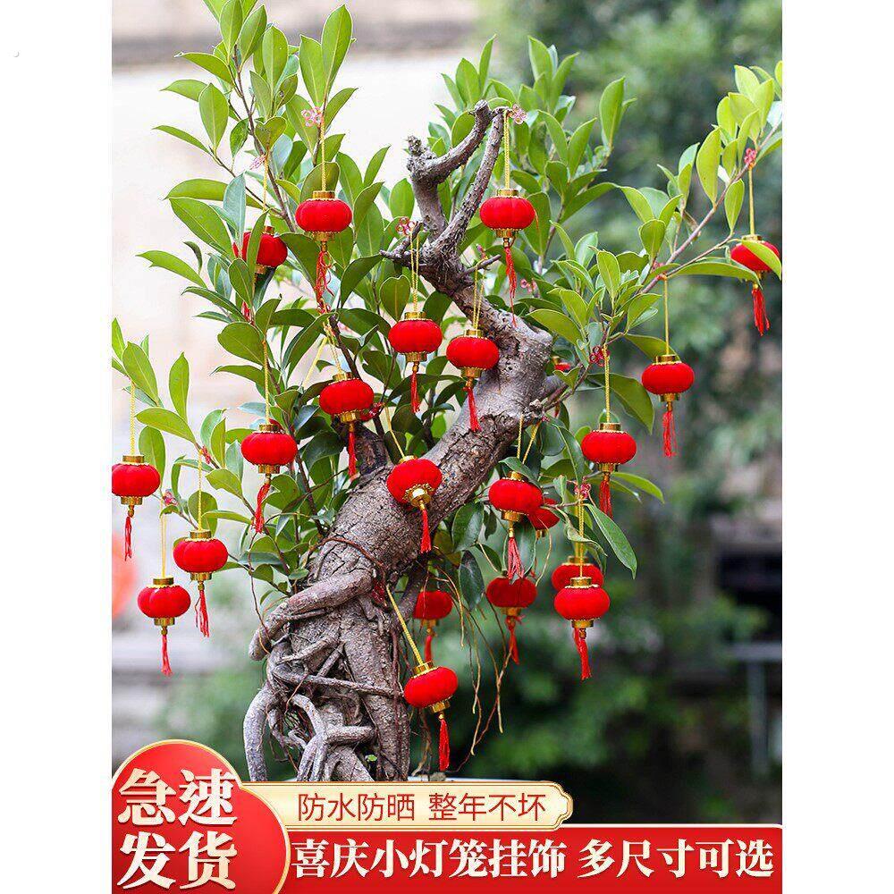 小灯笼挂饰树上盆栽乔迁之喜装饰发才树转蕴富贵竹家里盆景小挂件