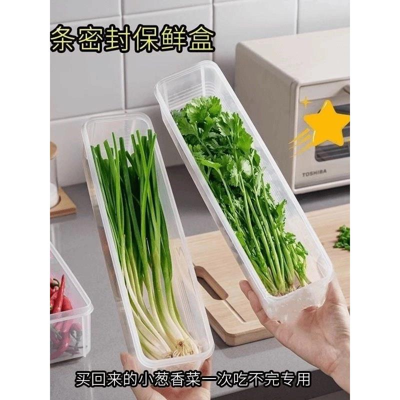 佳品印记香菜小葱收纳盒冰箱保鲜神器加厚款面条鸡蛋备菜保鲜密封