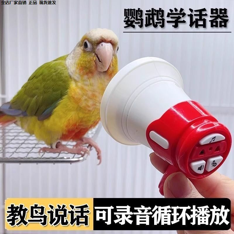 鹦鹉学说话神器小太阳和尚吹口哨训练说话喇叭鹦鹉复读录音机玄凤