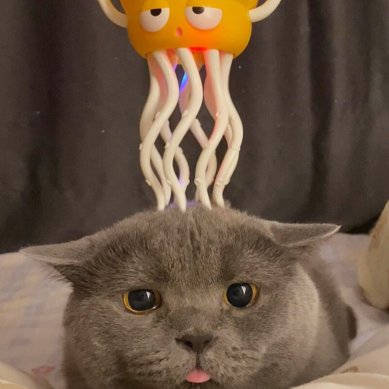 猫咪头部按摩器互动型玩具逗猫棒多功能痒痒挠趣味猎奇搞怪抓痒