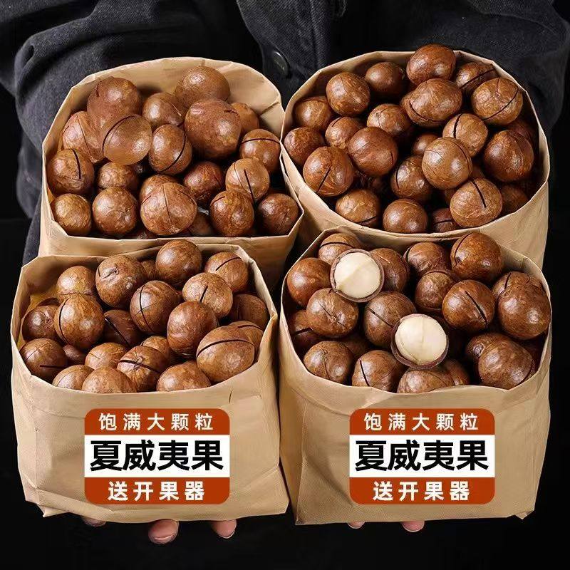 大颗粒夏威夷果袋装送开口器年货坚果炒货休闲零食批发奶香大果,零食/坚果/特产,夏威夷果,淘宝优惠券,粉丝福利购,淘宝优惠卷