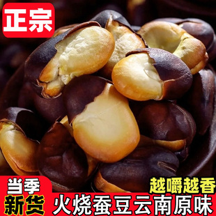 火烧蚕豆云南传统特产原味正宗农家绿心蚕豆烘烤新干货炭烧兰花豆