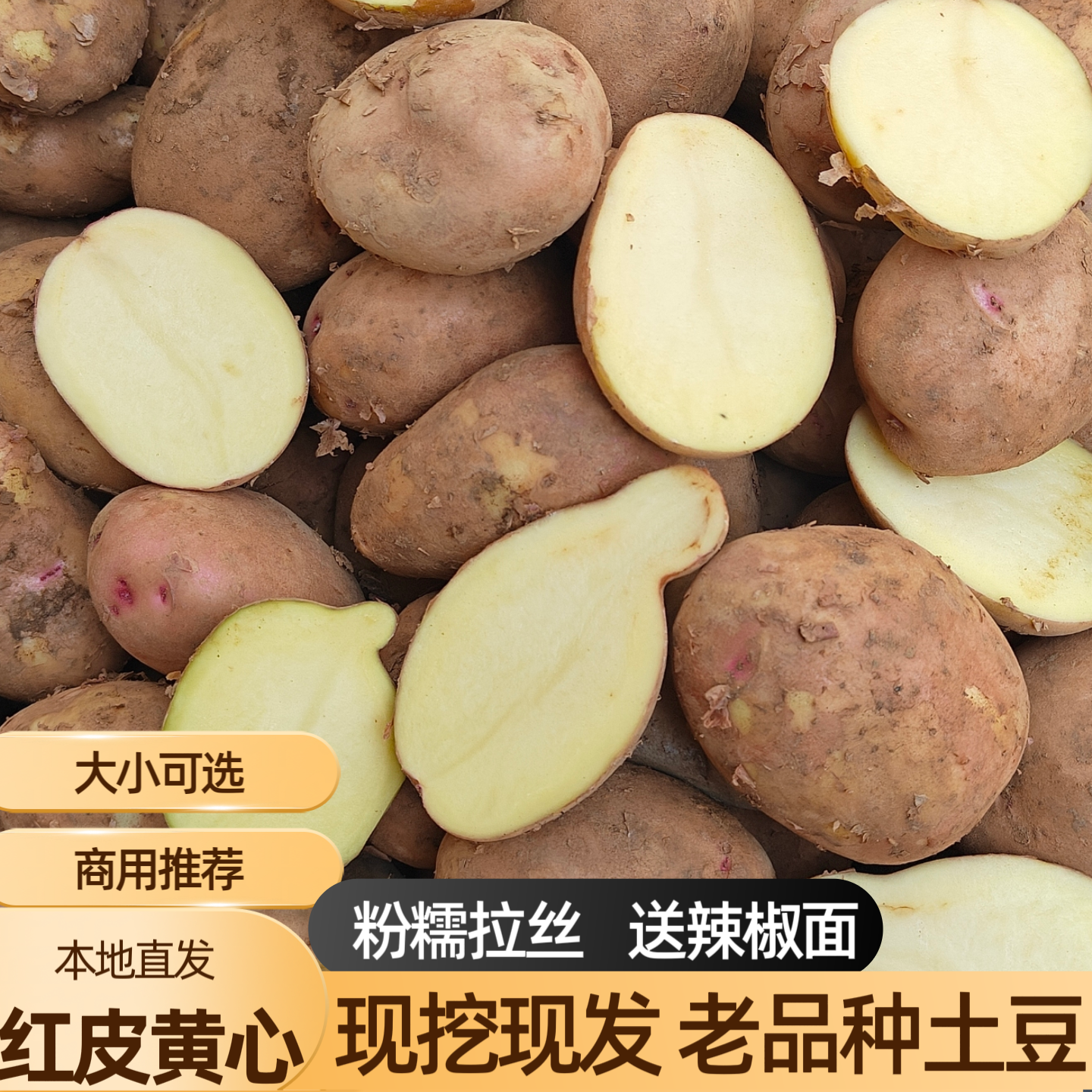 贵州云南高原本地新鲜现挖红皮黄心土豆应季洋芋马铃薯炸薯片商用