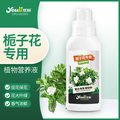 悠利栀子花专用营养液促开花