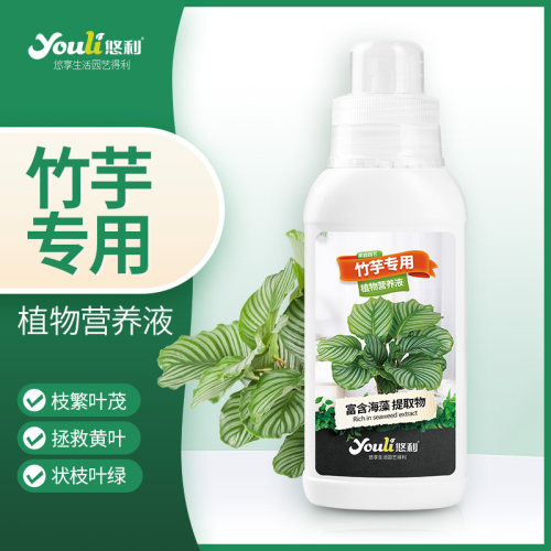 悠利竹芋专用营养液新品上新