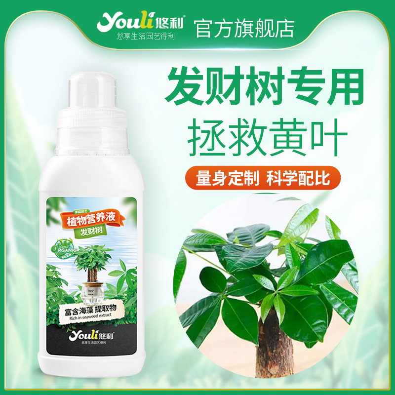 悠利发财树肥料专用肥家庭园艺浓缩植物营养液水培通用型黄叶烂根