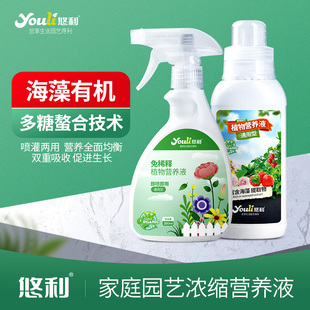 营养液植物通用型绿萝富贵竹发财树水培专用养花生根花肥室内家用